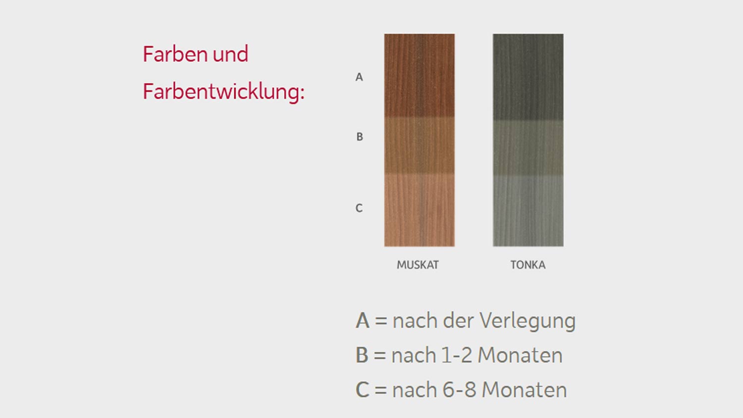 Megawood WPC Terrassendiele Signum 21x145mm, einseitig Wellenstruktur, HOLZart